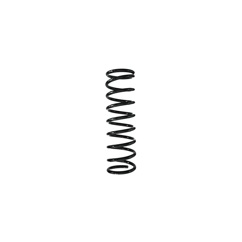 Ressort de suspension SPIDAN 56748