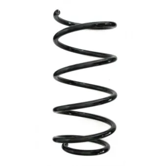 Ressort de suspension SPIDAN 56993