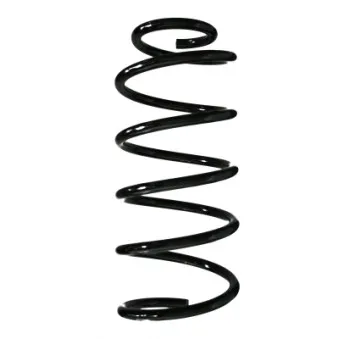 Ressort de suspension SPIDAN 56998