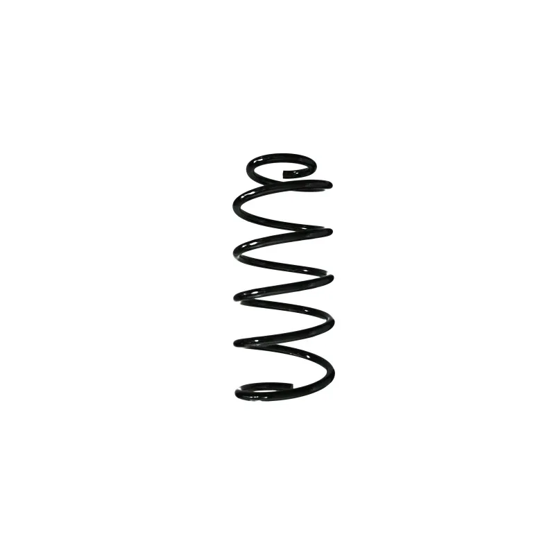 Ressort de suspension SPIDAN 56998