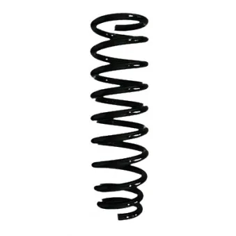 Ressort de suspension SPIDAN 85059