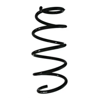 Ressort de suspension SPIDAN 85066