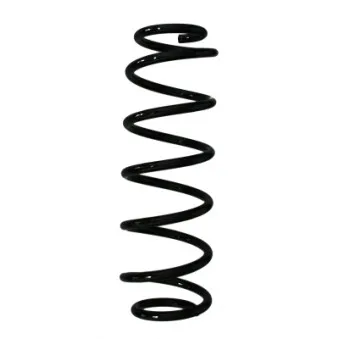 Ressort de suspension SPIDAN 85068