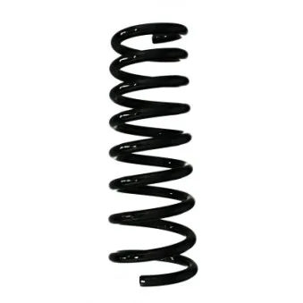 Ressort de suspension SPIDAN 85075