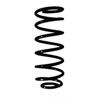 Ressort de suspension SPIDAN 85089