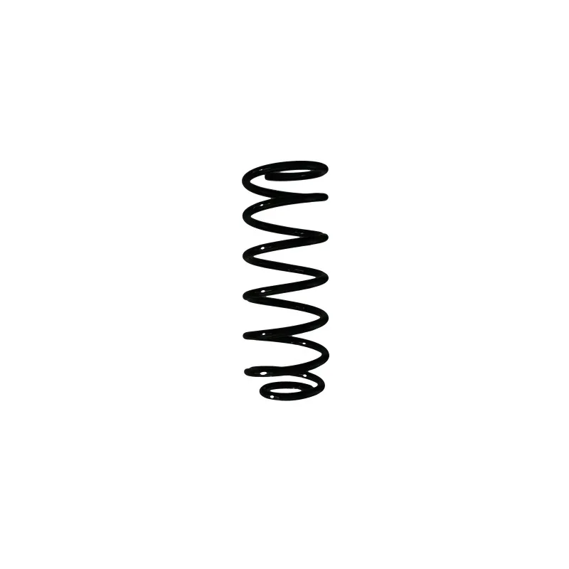 Ressort de suspension SPIDAN 85089