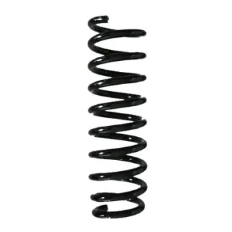 Ressort de suspension SPIDAN 85112