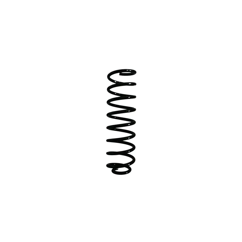 Ressort de suspension SPIDAN 85119