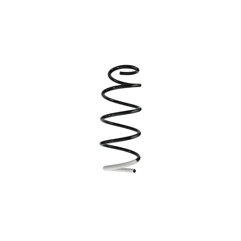 Ressort de suspension SPIDAN 85184