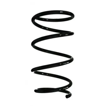 Ressort de suspension SPIDAN 85428