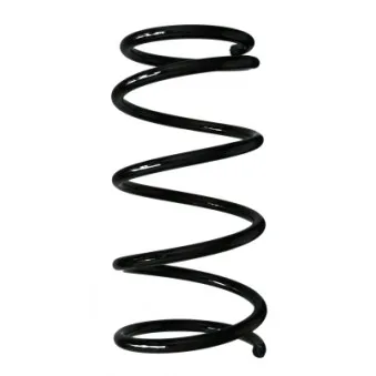 Ressort de suspension SPIDAN 85429