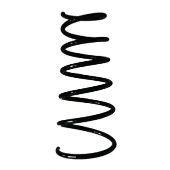 Ressort de suspension SPIDAN 85437
