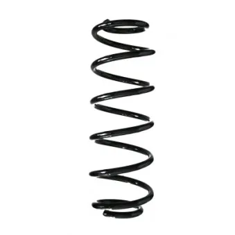 Ressort de suspension SPIDAN 85441