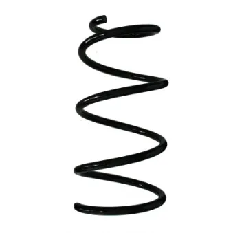 Ressort de suspension SPIDAN 85451
