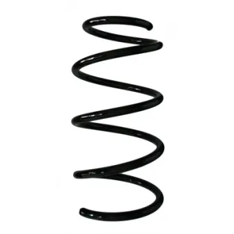 Ressort de suspension SPIDAN 85459