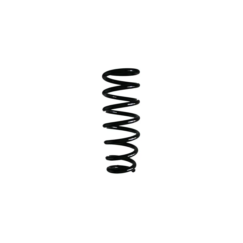Ressort de suspension SPIDAN 85462