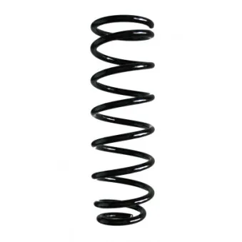Ressort de suspension SPIDAN 85479