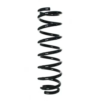 Ressort de suspension SPIDAN 85495
