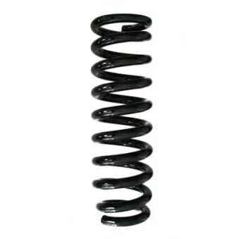 Ressort de suspension SPIDAN 85501