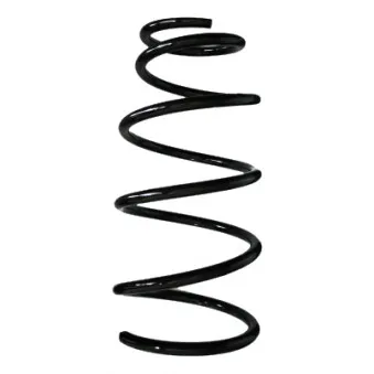 Ressort de suspension SPIDAN 85504