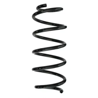 Ressort de suspension SPIDAN 85520