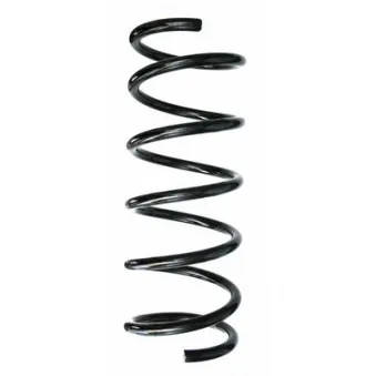 Ressort de suspension SPIDAN 85576