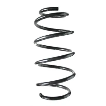 Ressort de suspension SPIDAN 85639