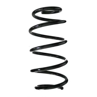 Ressort de suspension SPIDAN 85641