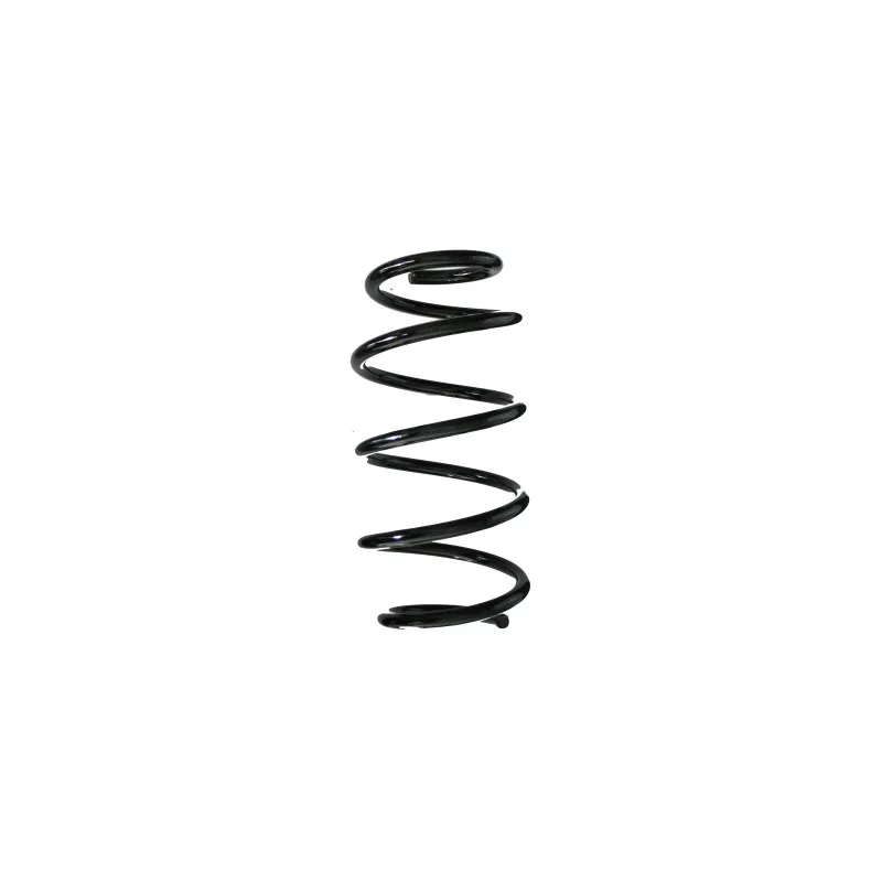 Ressort de suspension SPIDAN 85641
