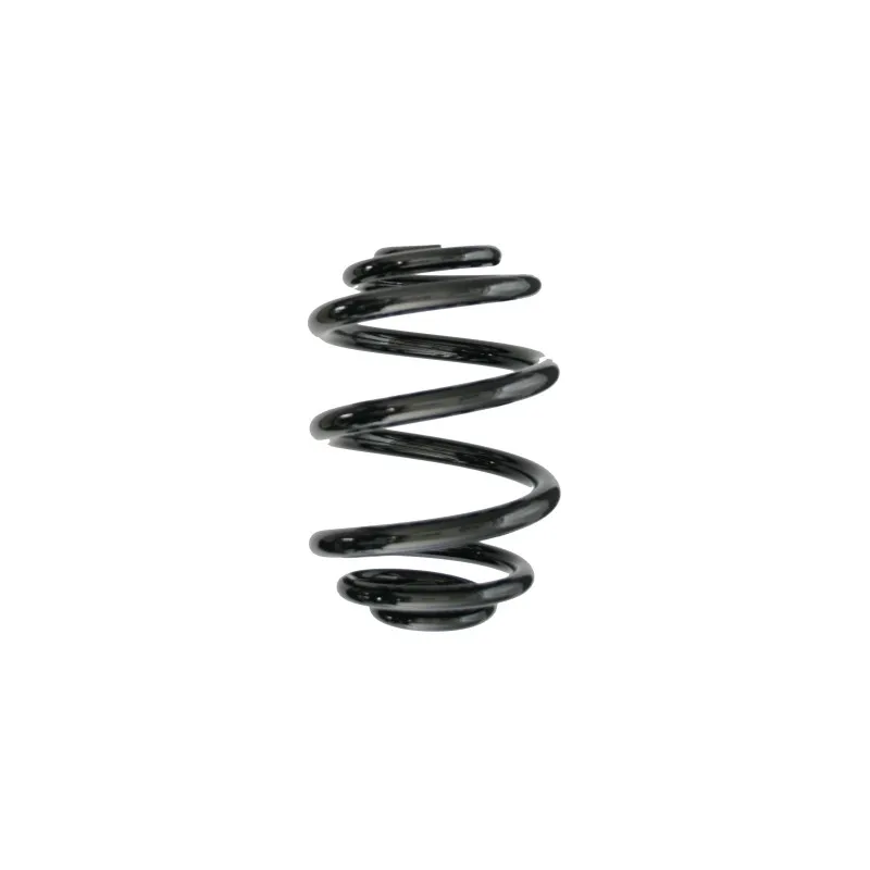Ressort de suspension SPIDAN 85707
