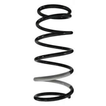 Ressort de suspension SPIDAN 85718