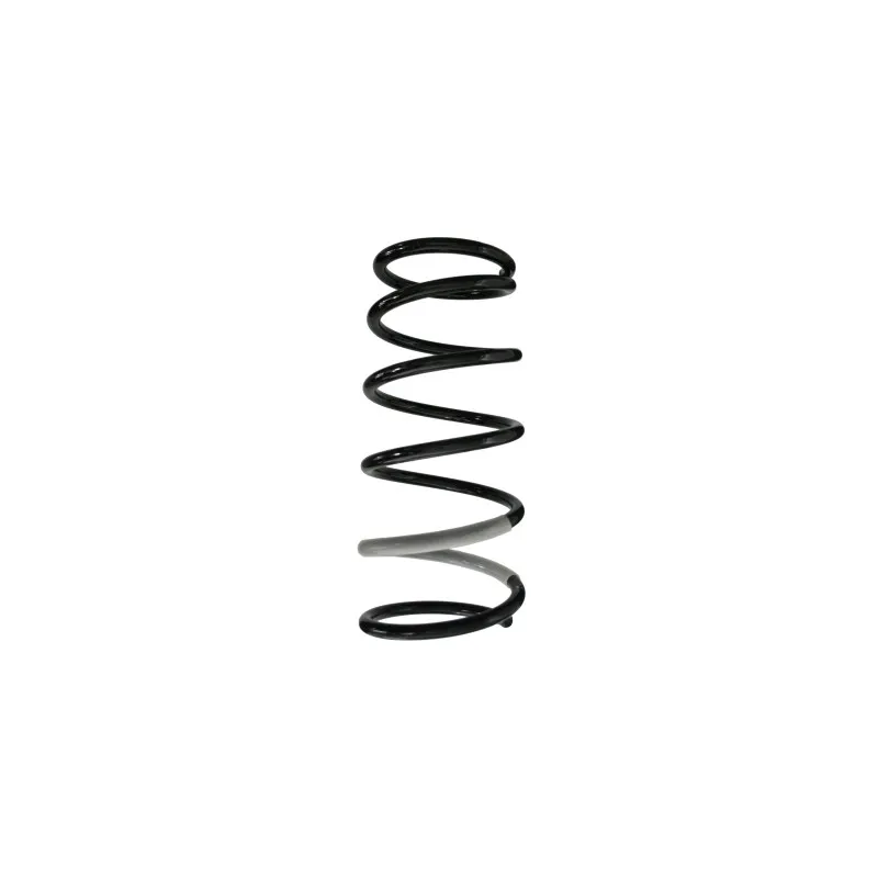 Ressort de suspension SPIDAN 85718