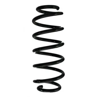 Ressort de suspension SPIDAN 85780