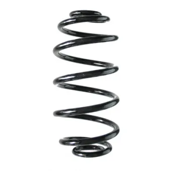 Ressort de suspension SPIDAN 85816