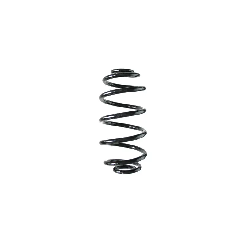 Ressort de suspension SPIDAN 85816