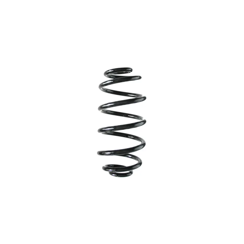 Ressort de suspension SPIDAN 85817