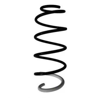 Ressort de suspension SPIDAN 85949