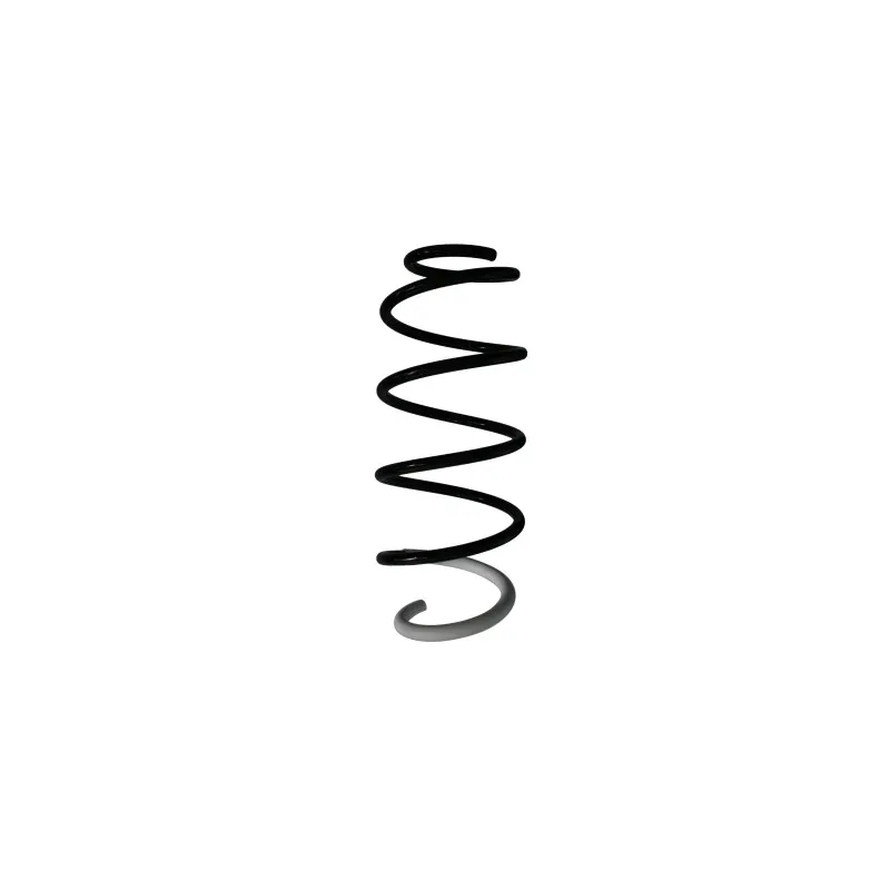 Ressort de suspension SPIDAN 85949