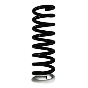 Ressort de suspension SPIDAN 85975