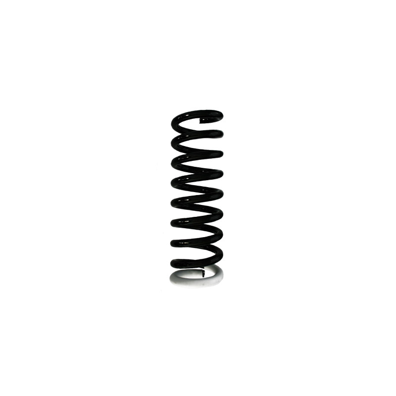 Ressort de suspension SPIDAN 85975