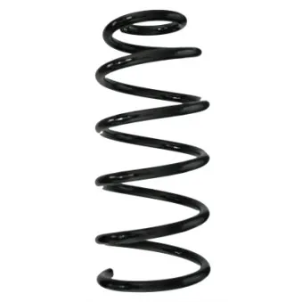 Ressort de suspension SPIDAN 86343