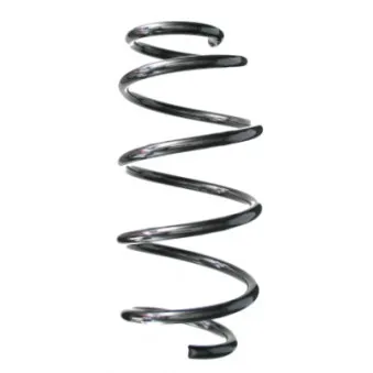 Ressort de suspension SPIDAN 86444