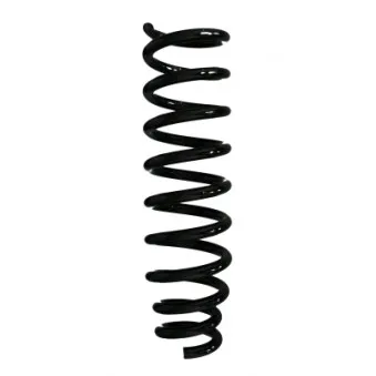 Ressort de suspension SPIDAN 86504
