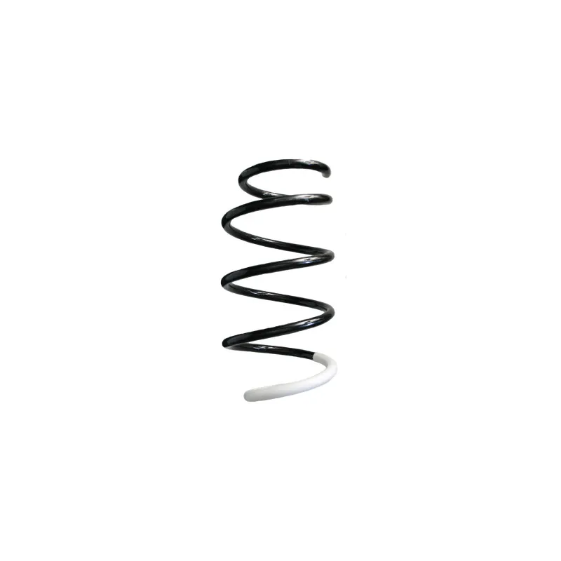 Ressort de suspension SPIDAN 86552