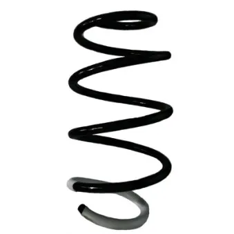 Ressort de suspension SPIDAN 86553