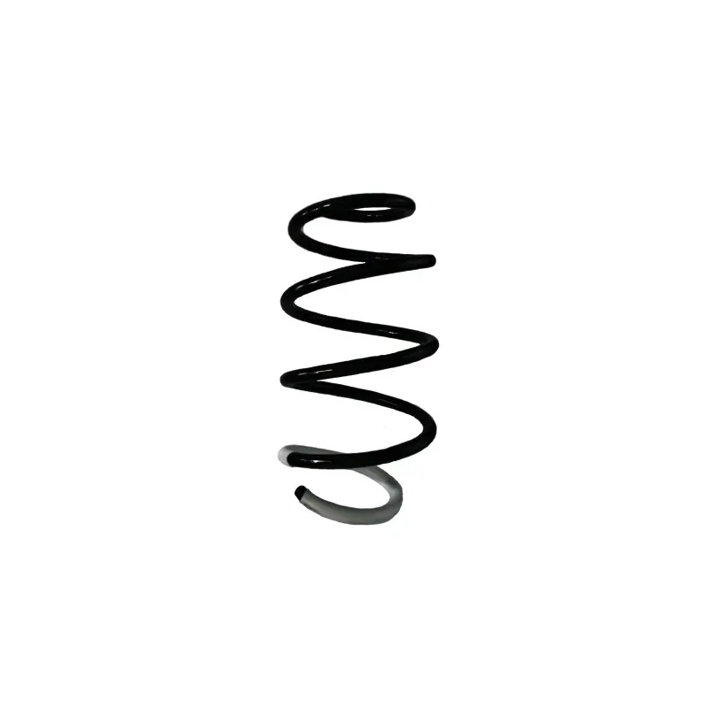 Ressort de suspension SPIDAN 86553