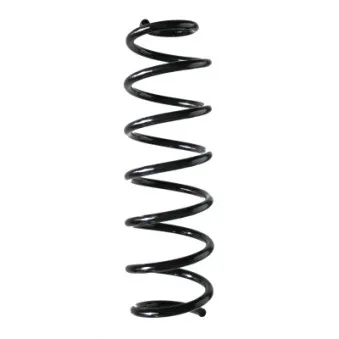 Ressort de suspension SPIDAN 86557