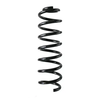 Ressort de suspension SPIDAN 86561