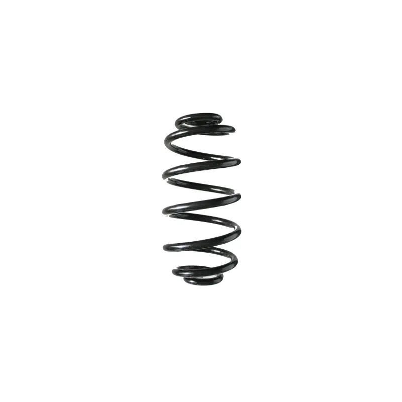 Ressort de suspension SPIDAN 86737