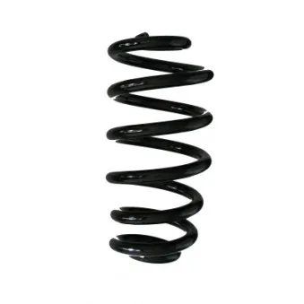 Ressort de suspension SPIDAN 86930